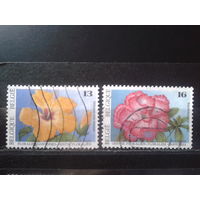 Бельгия 1995 Цветы Михель-1,3 евро гаш
