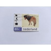 Нидерланды  1997 лошадь