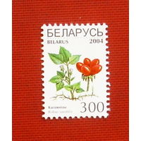 Беларусь. Стандарт. ( 1 марка ) 2004 года. 8-3.