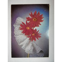 Киндрова Д., Цветы. Поздравляю! двойная, 1988 год #0055-FL1P28