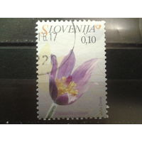 Словения 2007 Стандарт, цветок