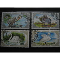 Марки - Монголия, фауна, птицы, лебеди, пеликаны