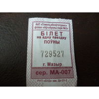 Билет на автобус г.Мозырь
