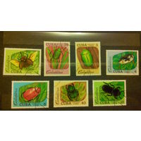 Жуки, насекомые, марки, фауна, Куба, 1988