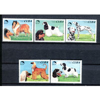 Куба - 1994г. - Собаки. Национальная ассоциация собаководов - полная серия, MNH [Mi 3771-3775] - 5 марок