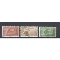 Фауна. Рогатые животные. Испанская Сахара. 1955. 3 марки. Michel N 154-156 (2,8 е)
