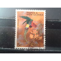 Папуа Новая Гвинея, 1967. Папуасский лорикет