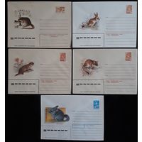 Комплект из пяти конвертов СССР  Грызуны