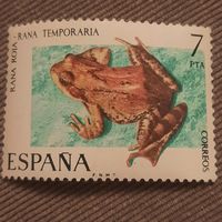 Испания. Земноводные. Лягушки. Rana Roja