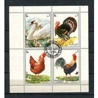 Шарджа - 1972 - Птицы - [Mi.1190-1193kb] - 1 малый лист. Гашеный.  (LOT EO31)-T10P41