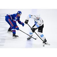 Фуфайка хоккейная игровая #9 LIPSKY (гостевая) ХК Динамо-Минск