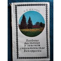 Н.В. Шкутко. Хвойные растения в зеленом строительстве Белоруссии