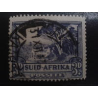 ЮАР 1940 стандарт, дерево африкаанс