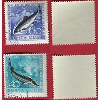 СССР 1959 Рыбы ценных пород