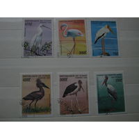 Марки - Чад фауна птицы 1998
