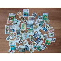 50 марок стран мира ФЛОРА, ФАУНА (4 копейки за марку)