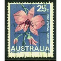 Австралия 1968 Mi# 402 Дендробиум бигиббум вар. фаленопсис. Гашеная (AU09) н/с