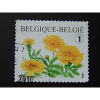 Бельгия 2008 г. Цветы.