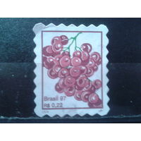 Бразилия 1997 Стандарт, ягоды Михель-1,5 евро гаш