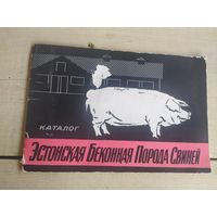 Каталог-буклет"Эстонская беконная порода свиней"\05