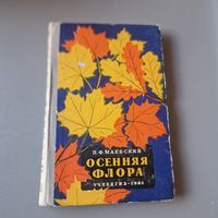 Осенняя флора средней полосы европейской части СССР Петр Маевский 1961 год