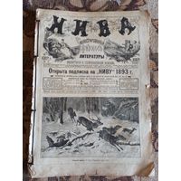 Популярные русские еженедельные иллюстрированные журналы "Нива" за 1893 год.