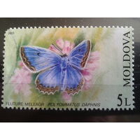 Молдова 2003 Бабочка, концевая марка Михель-3,5 евро гаш