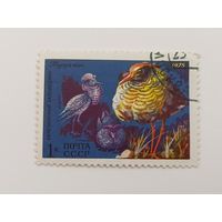 1975 СССР. Фауна. Животные