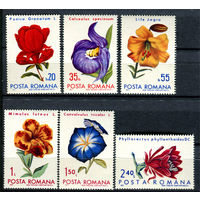 Румыния - 1971г. - Цветы - полная серия, MNH [Mi 2940-2945] - 6 марок