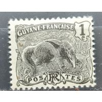 Французская Гайана 1904-1907г.
