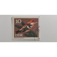 ГДР 1973. Певчие птицы.