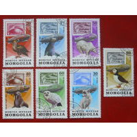 Монголия. 50 лет полярного полета дирижабля. ( 7 марок ) 1981 года. 2-9.