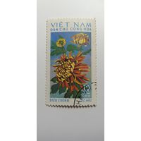 Вьетнам 1974. Хризантемы