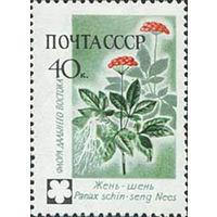 Флора СССР 1960 год 1 марка