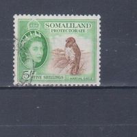 [1331] Британские колонии. Сомалиленд 1953. Елизавета II.Фауна.Птицы.Орел.5 Sh. Гашеная марка. Кат.гаш.20 е.