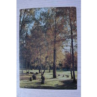 Дацкевич В., Осенний парк; 1983, чистая.