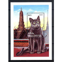1994 Мальдивы. Кошки