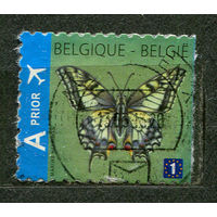 Бабочка махаон. Бельгия. 2012