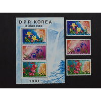 Корея 1981 г.