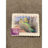 Австралия 2001. Птицы. Budgerigar. Марка из серии