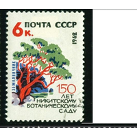 Никитинский ботанический сад СССР 1962 год Флора гаш