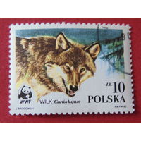 Польша 1985 г. Фауна.
