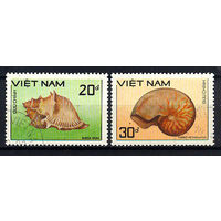 1988 Вьетнам. Ракушки