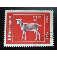 Болгария 1974 коза