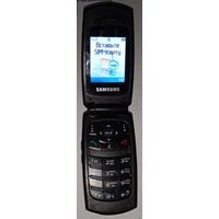 Мобильный телефон Samsung SGH-X160