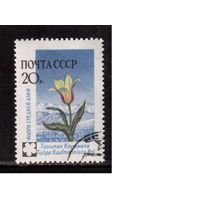 СССР-1960, (Заг.2409), гаш.(с клеем) , Флора, Цветы