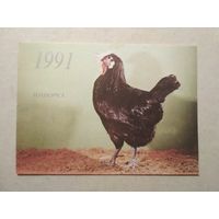 Карманный календарик. Курица. Минорка. 1991 год