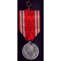 Япония Серебряная медаль члена общества Красного Креста