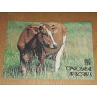 Календарик 1987 Госстрах. Страхование животных. Фауна. Корова