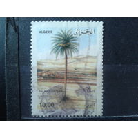 Алжир 2004 Дерево, пальма